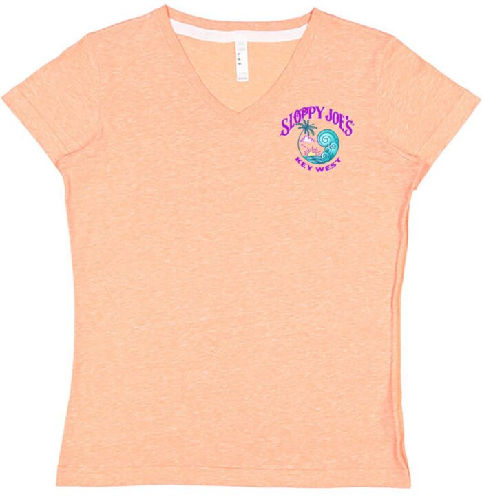 Ladies Multi Color Wave V-Neck